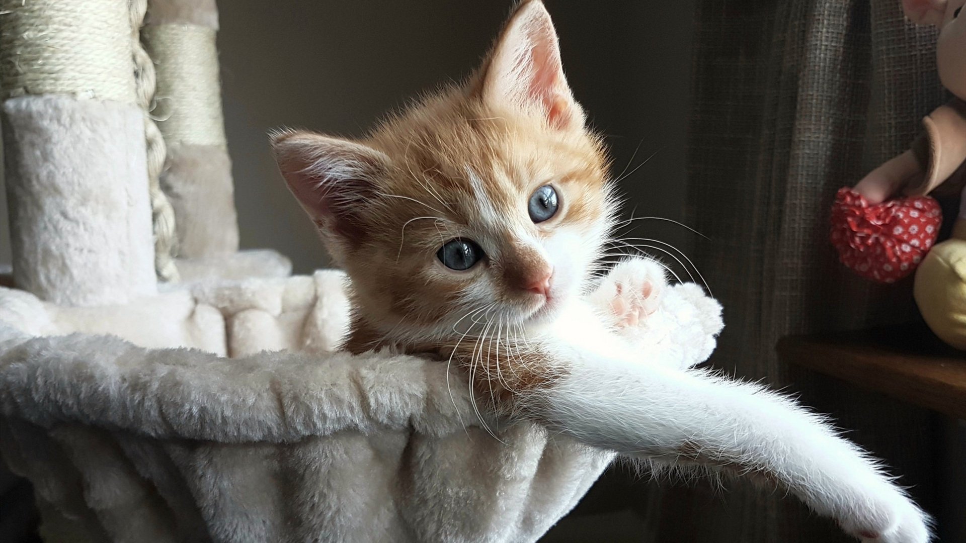 IT+足球科技创新成果频出，行业硬核科技助推未来发展，足球科技公司