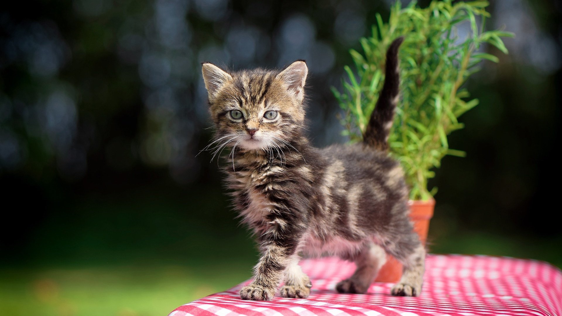 “未来领袖”青少年篮球培训基地在南京全面启动，培养青少年行业骨干
