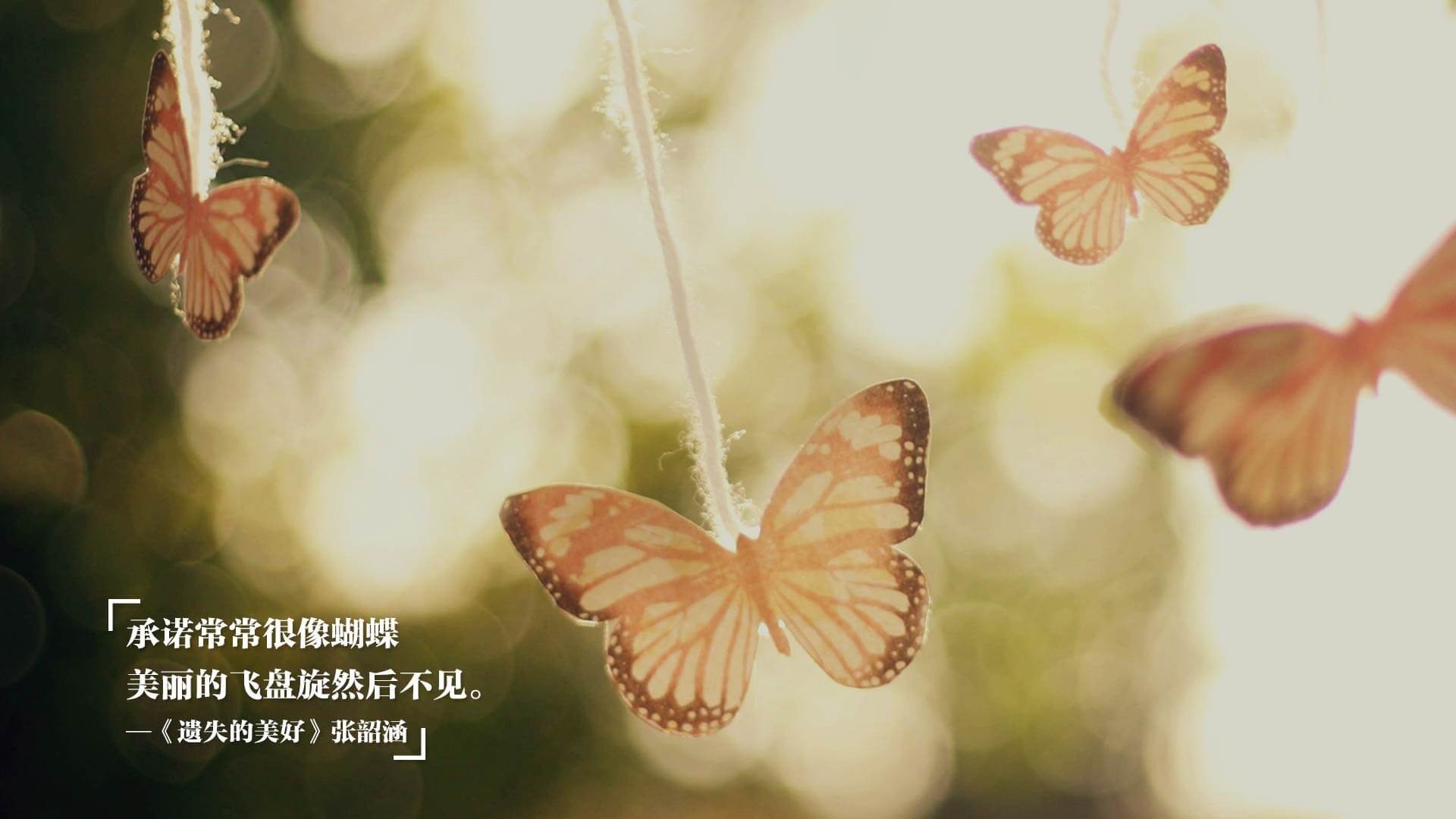 印象赛:夜空灯光照耀下的梦幻赛事