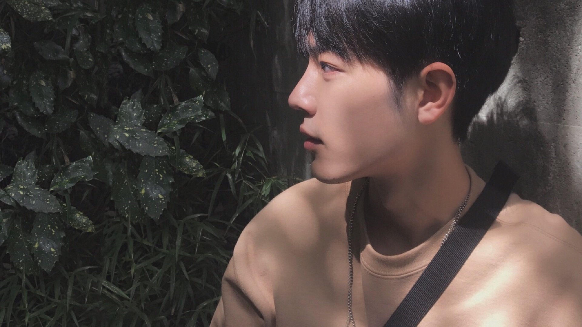 历史上最燃的“冠军荣耀夜”回顾,荣耀冠军阵容搭配