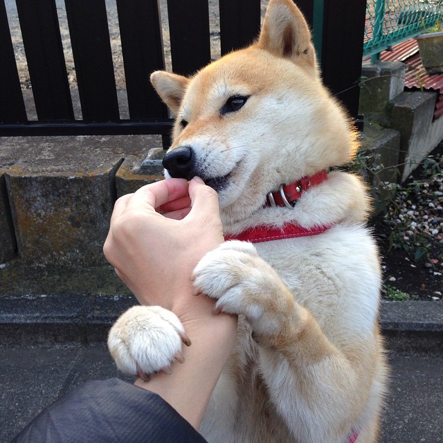 精彩瞬间：比赛中的绝杀和精彩封盖瞬间合集！，比赛绝杀是什么意思