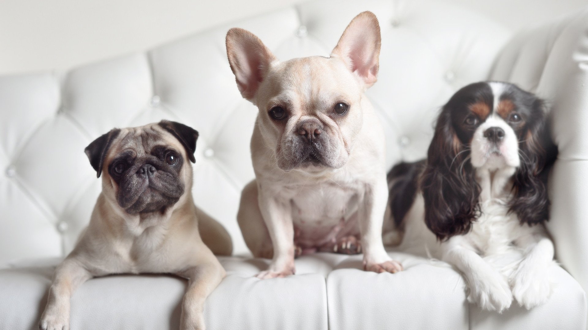 逆转战役中的“救世主”:那些扭转乾坤的英雄,逆转结局是哪一套史诗