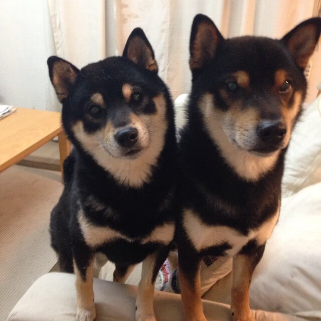 逆转时刻：北京队在最后两分钟实现惊天翻盘！，北京被逆转