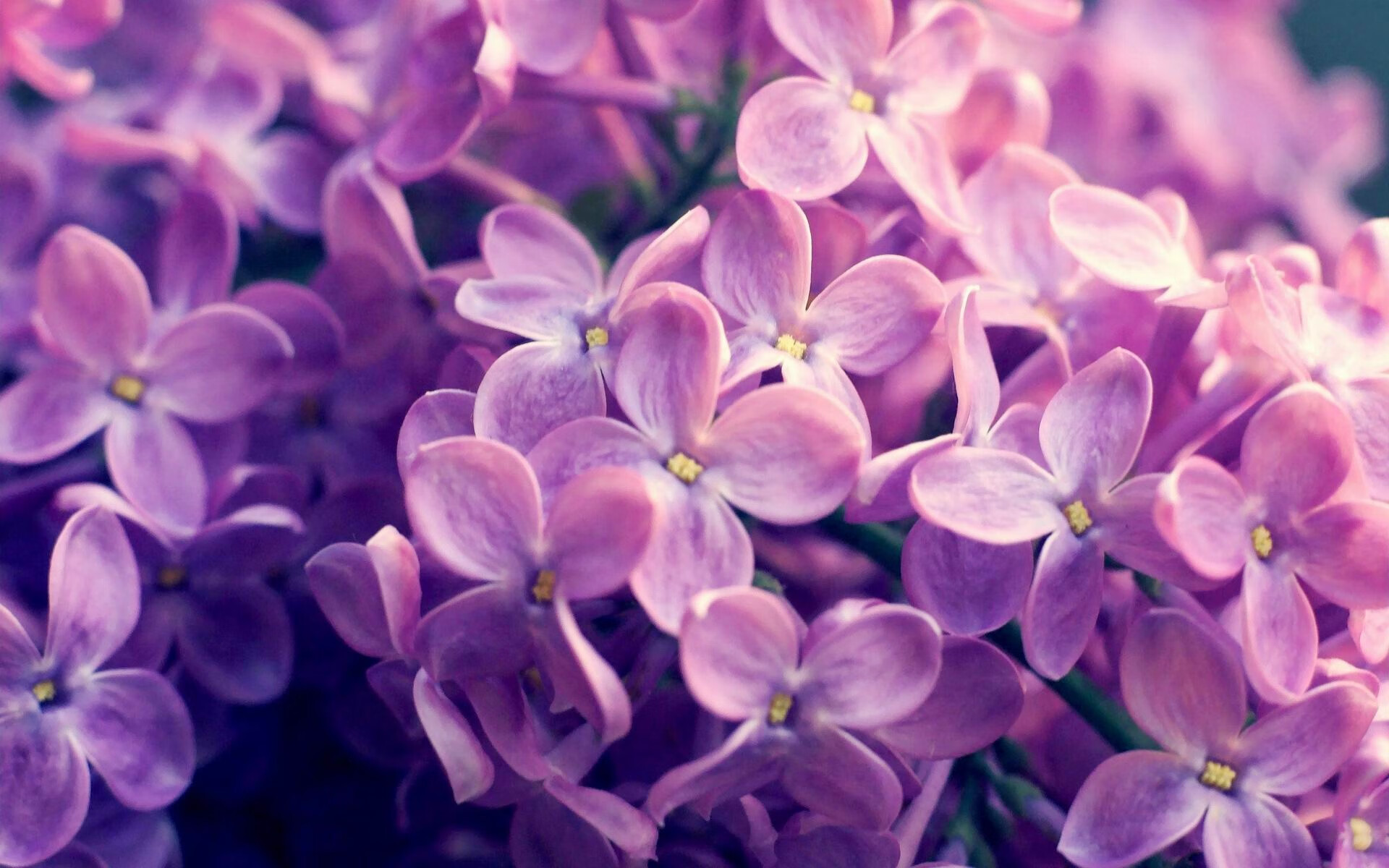 马布里荣获篮球名人堂入选资格,马布里nba十佳球