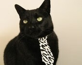 TES上线实时数据公开页面，提升比赛透明度，tes有冠军吗