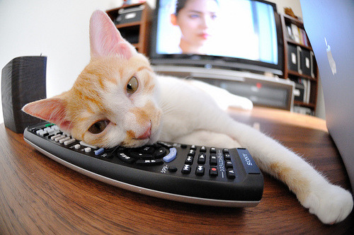 保利斯塔赛季目标明确，保利斯塔杯