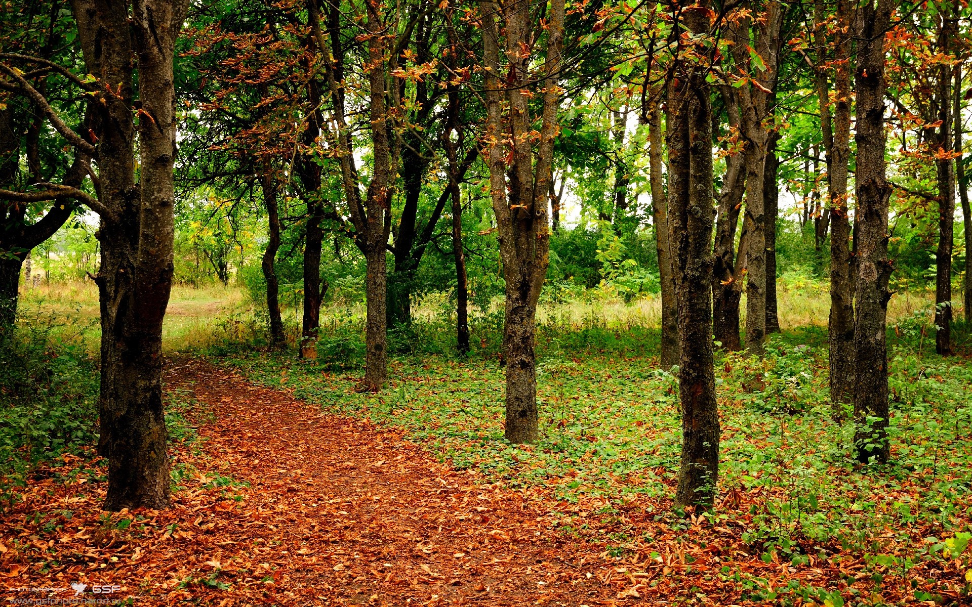 塞尔维亚豪取三分，锁定晋级资格，“塞尔维亚”