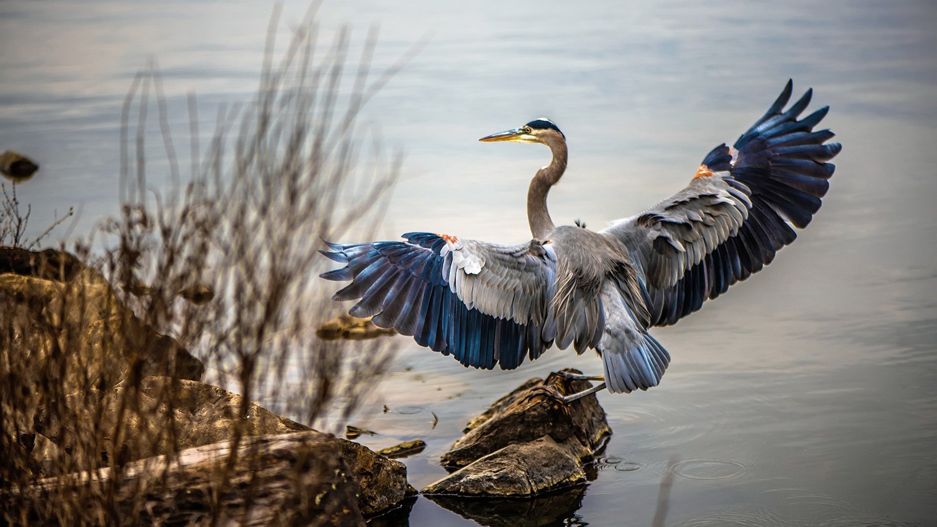 格拉纳达客场平局,保持稳定在中上游位置,格拉纳达俱乐部