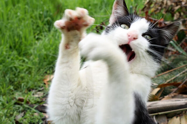 格拉纳达客场惜败,遗憾失去积分,格拉纳达俱乐部