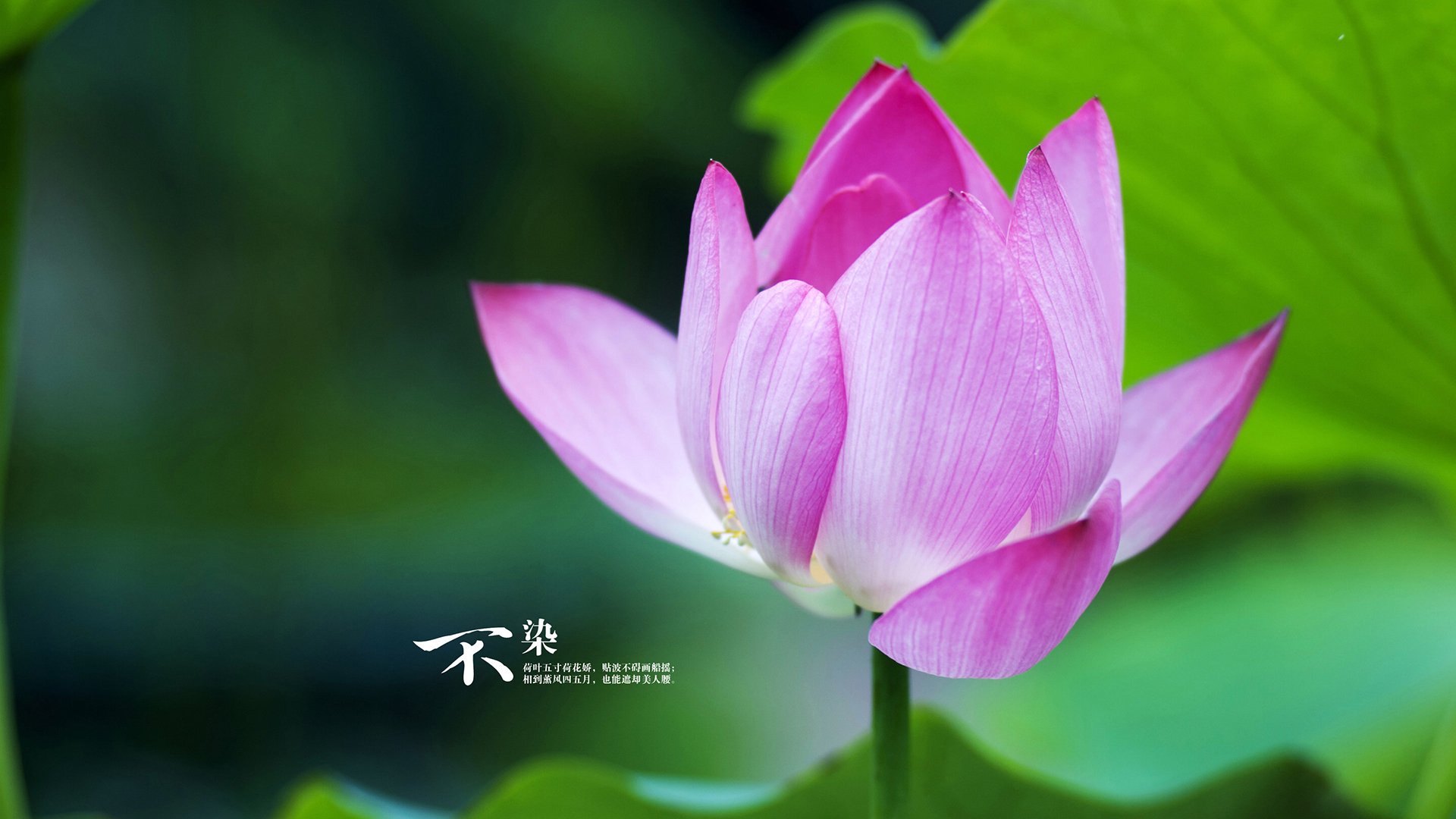 湖北队惜败长沙，遗憾止步季后赛，2021年湖北篮球联赛