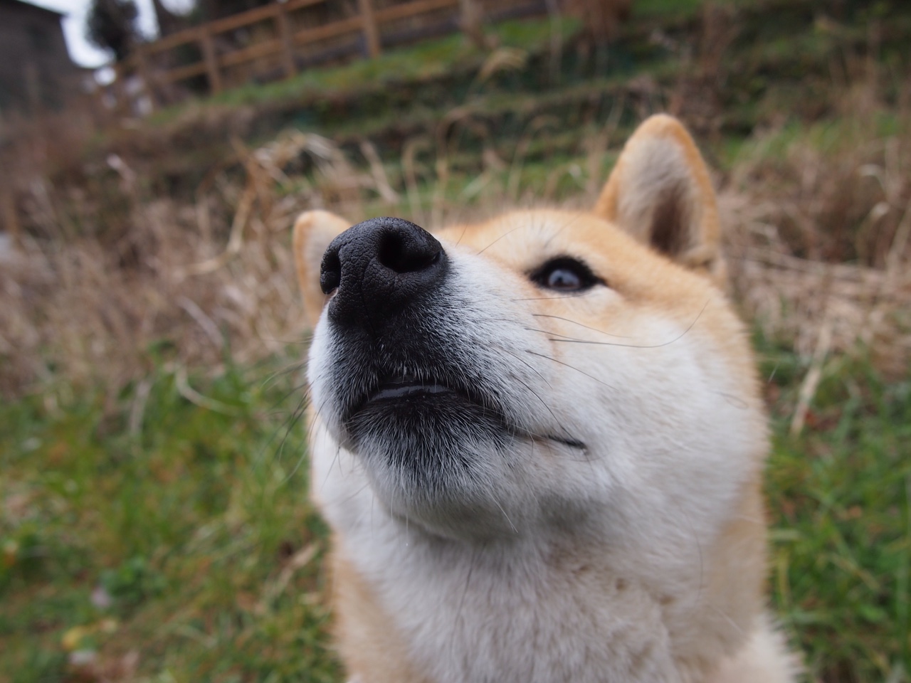 NBA联盟公平竞争环境建设研究,nba公平吗