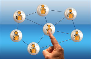 世界足球推广：南南合作助力新兴市场崛起，南亚足球强国