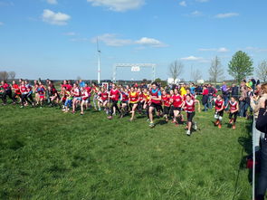 中国篮球青少年篮球发展与体育政策关系研究，中国青少年篮球发展现状