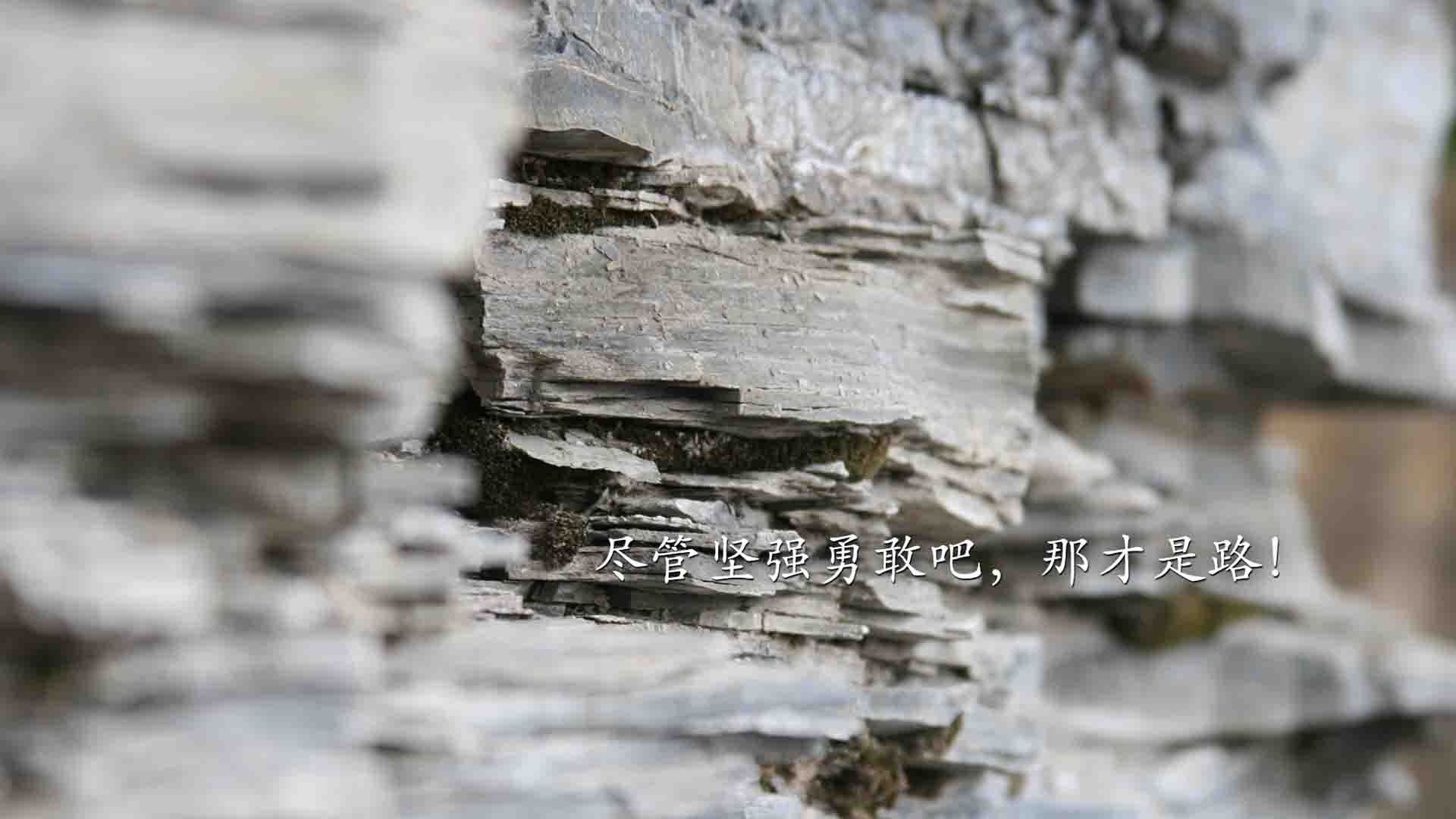 篮球专项体能训练恢复技术及临床应用,篮球体能训练有哪些项目