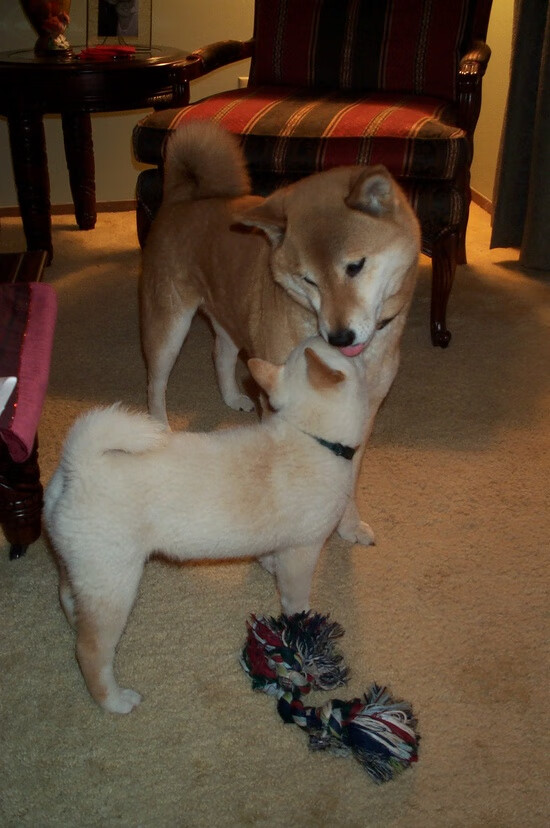 冬奥文化展吸引游客体验冰雪运动魅力，冬奥会冰雪活动策划书