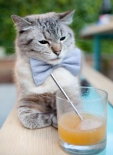 国际乒联公布2024混合团体世界杯赛制细节,国际乒联团体赛最新赛制