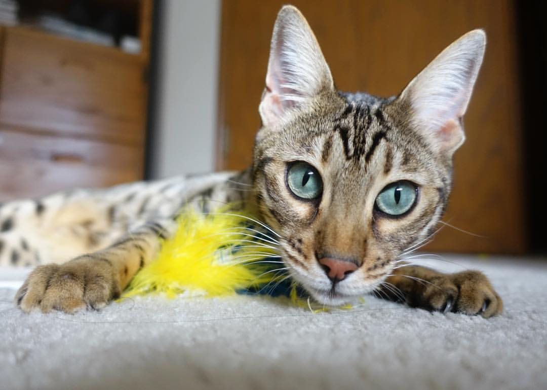 场馆赛后利用机制激活全民健身空间,全民健身场地设施实施方案