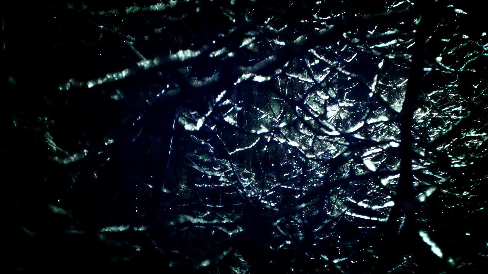 技术趋势：澳德蝶泳更趋自动化节奏，奥运蝶泳表演