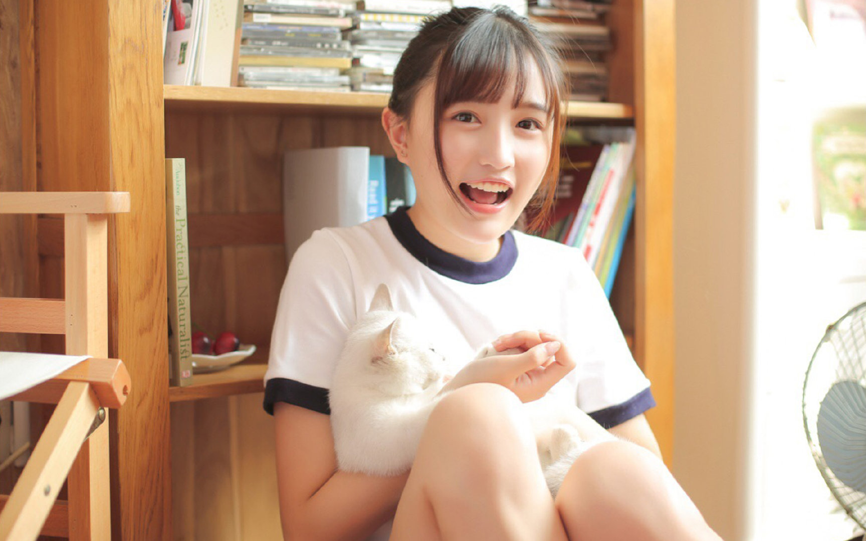 罗马尼亚队赛制解析：通过精细化战术突破对手防线，罗马尼亚联赛赛程