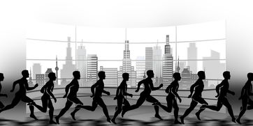 青少年赛事结构未形成体系化，青少年竞赛应回归本位