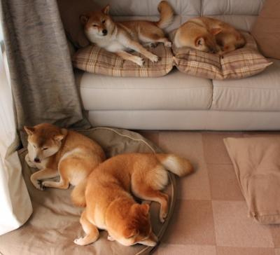 女篮俱乐部引入多维评估机制优化球员选拔，女篮队伍名称