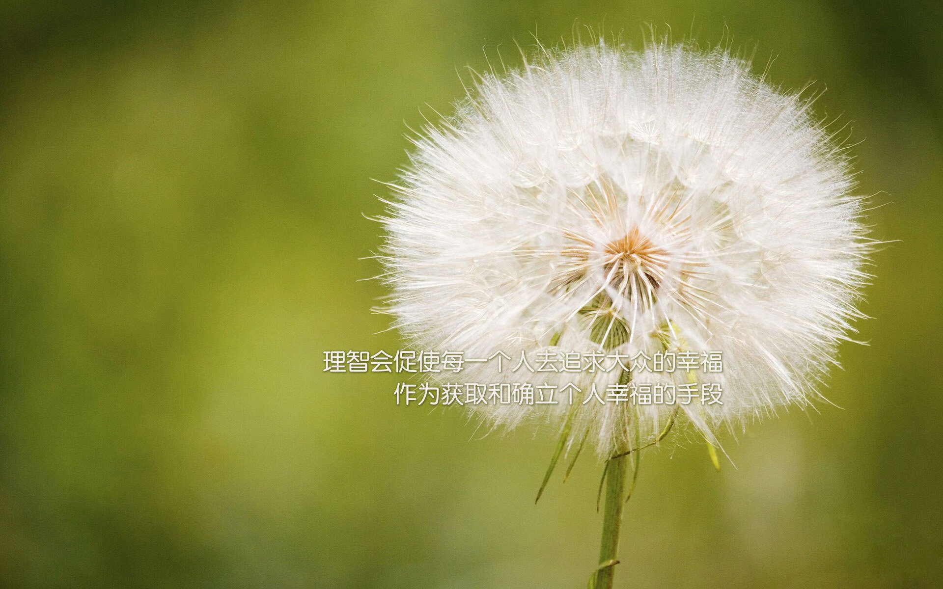 库策赛后感谢团队支持与鼓励，赛课后感谢团队的