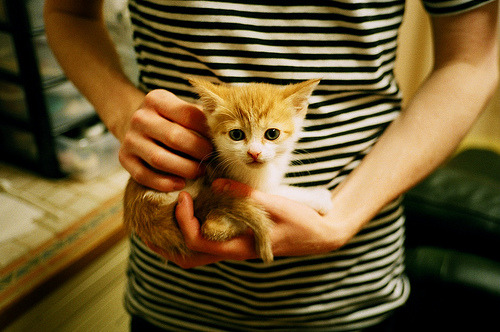 新闻中心公布体育统计年度报告采样方法及范围,体育统计数据资料的整理