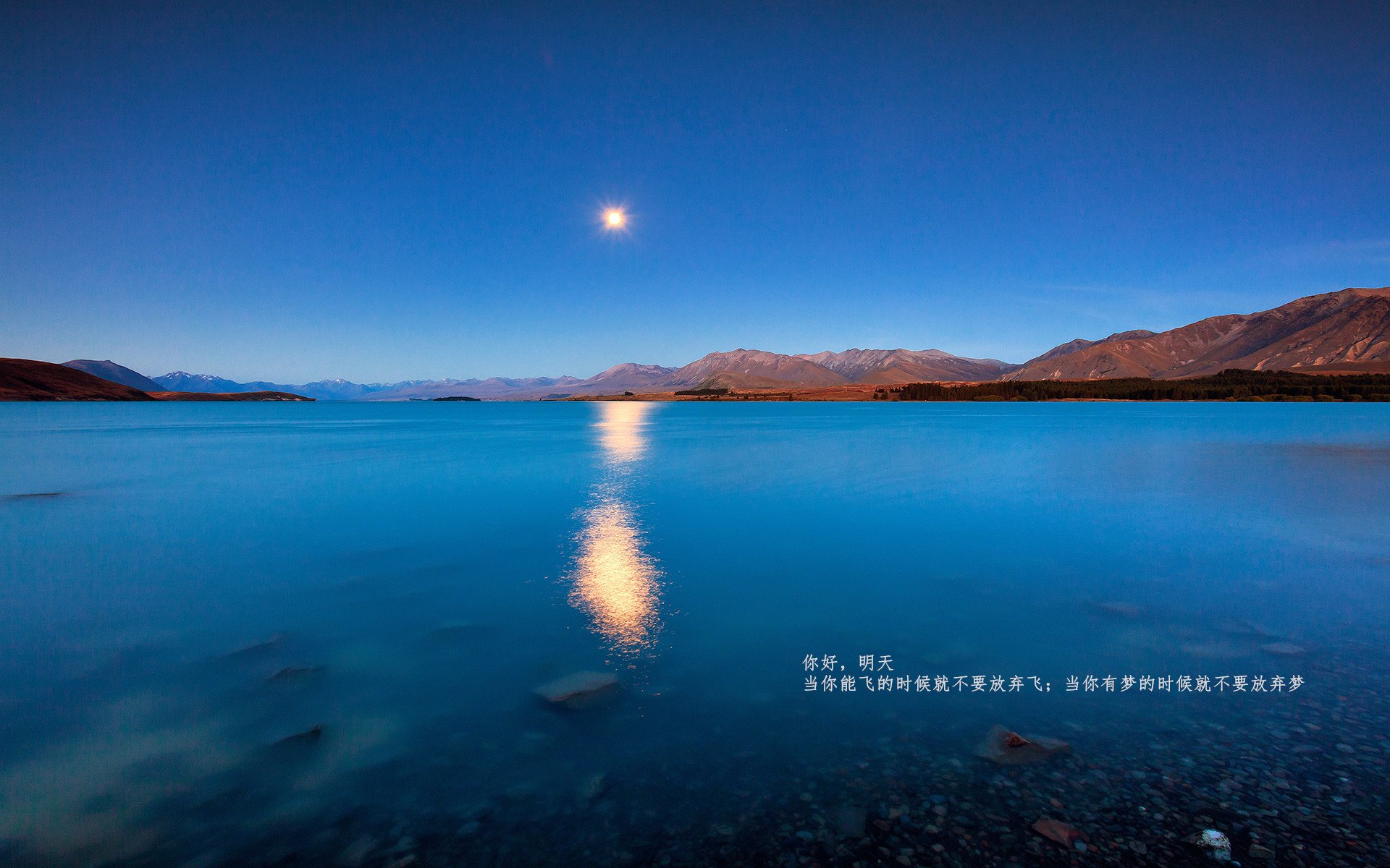 林丹退役仪式现场掌声雷动，林丹退役前的成绩