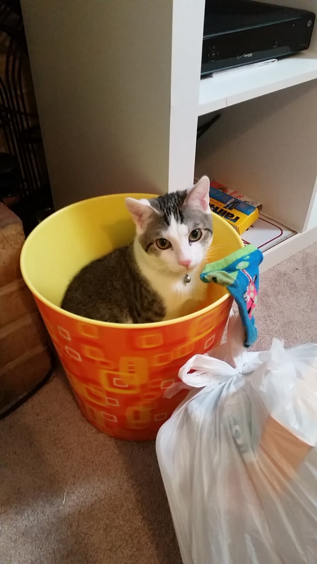 波波维奇赛后感谢团队支持与鼓励,波波维奇常规赛胜场数最新