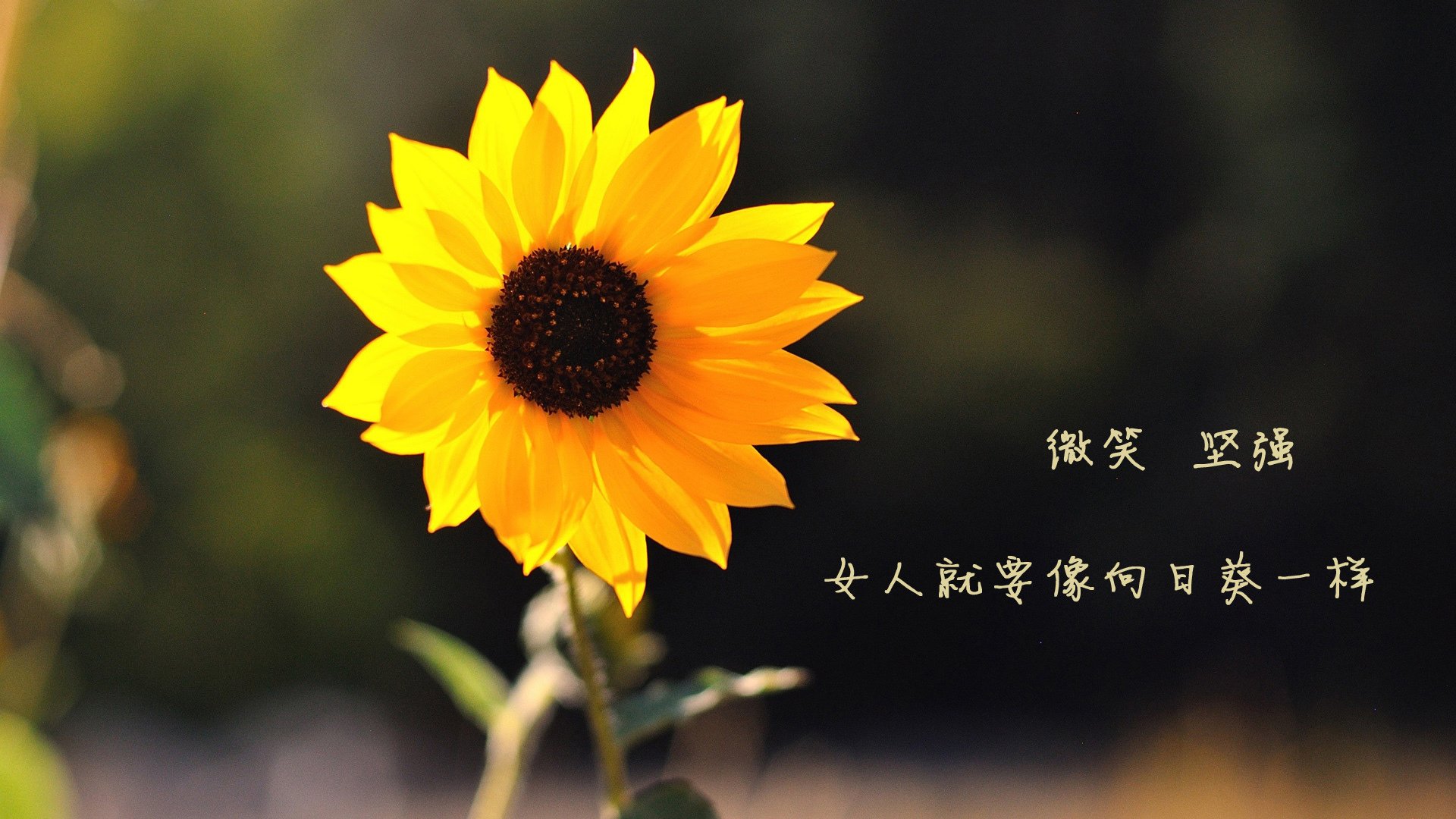 篮球赛事主客场安排优化增强观众体验，篮球主客场赛制