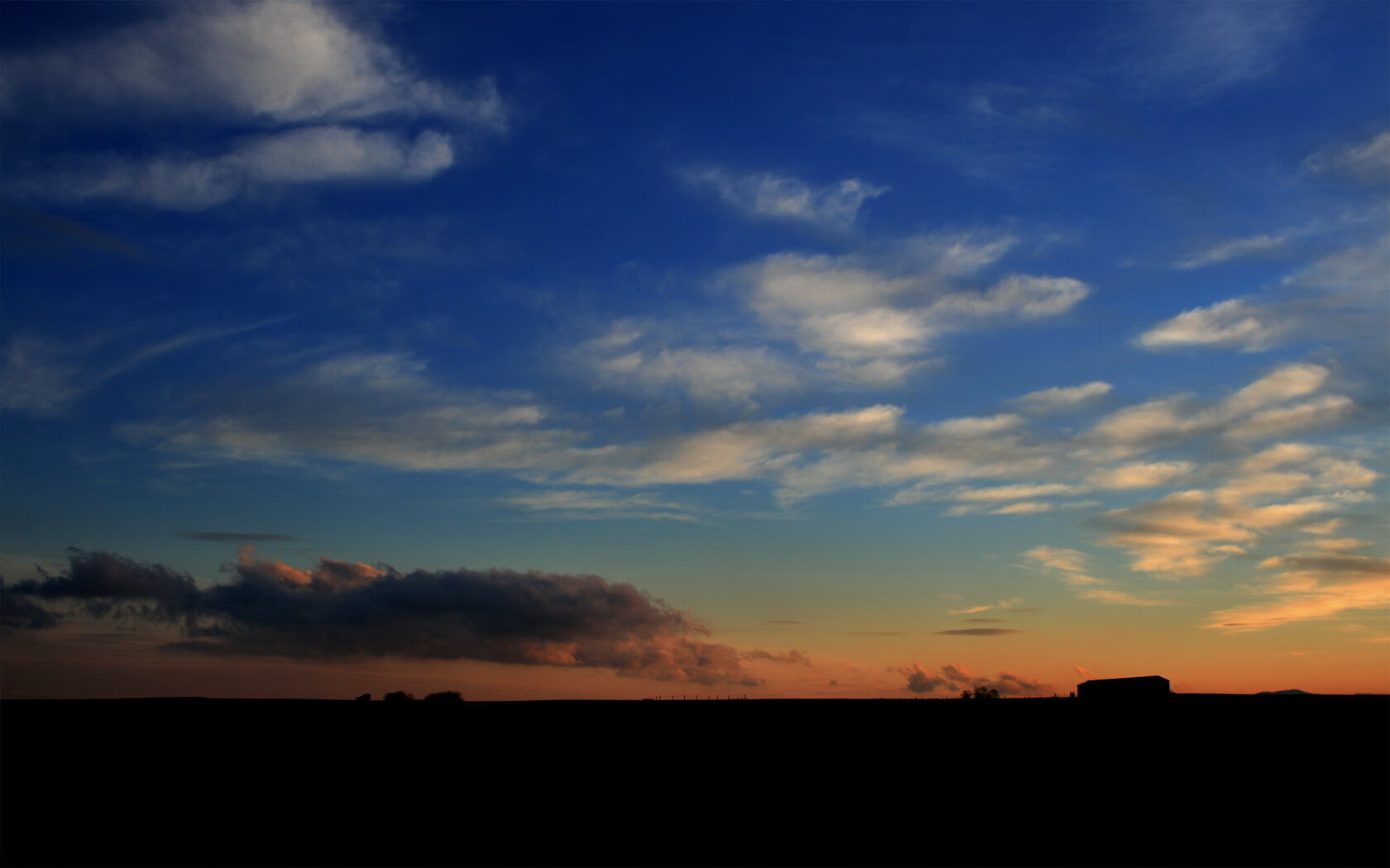 自由泳接力南非男队逆袭夺胜,男子自由泳决赛