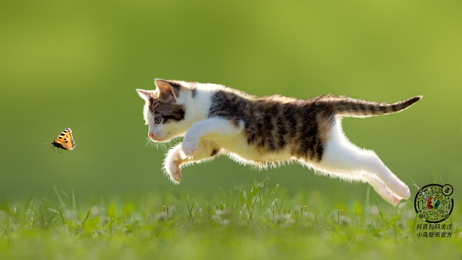 英格兰男队备战世界杯目标明确,英格兰国家队世界杯