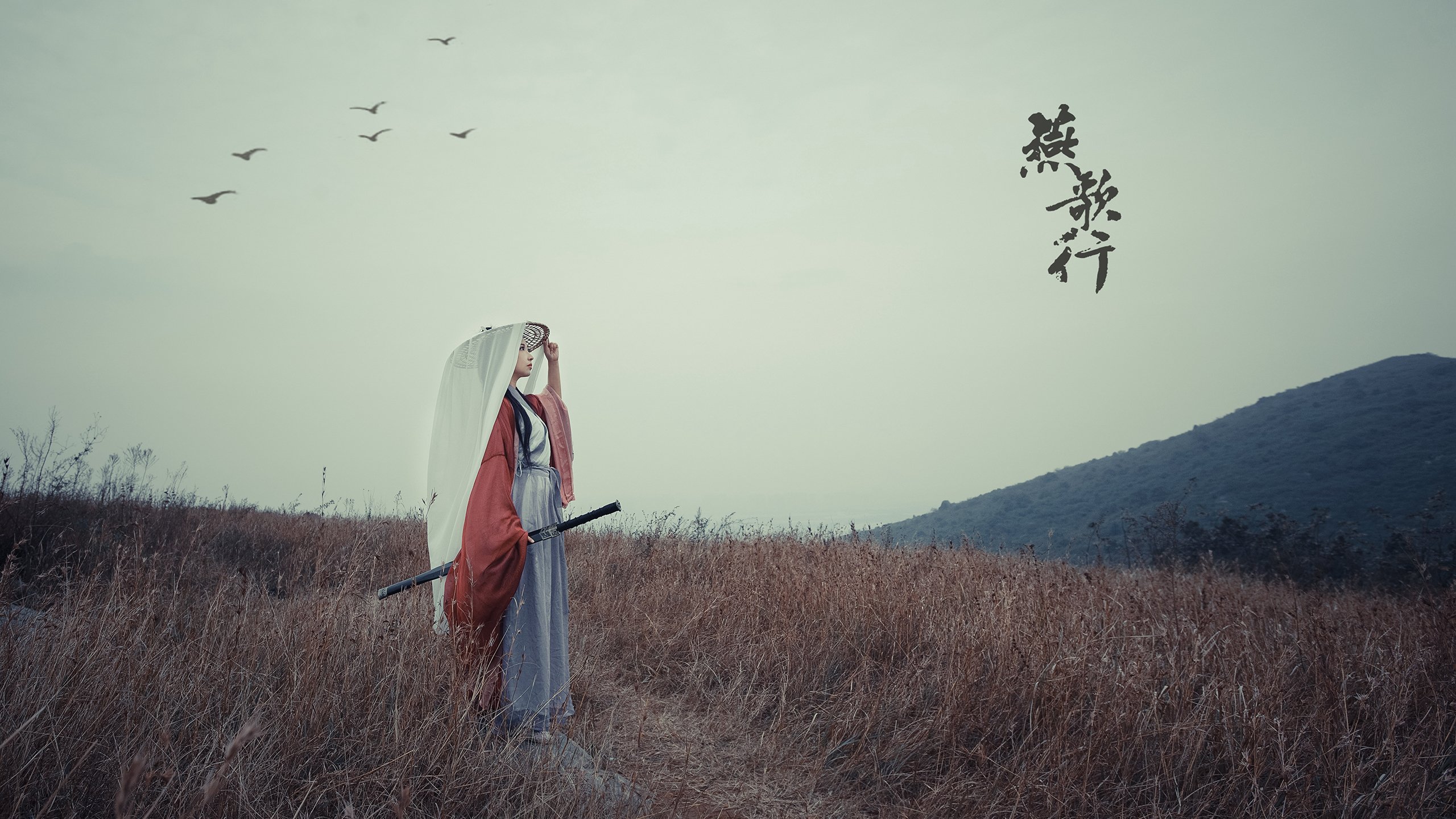 荷兰男子水球队战术变化多端,荷兰男子篮球队