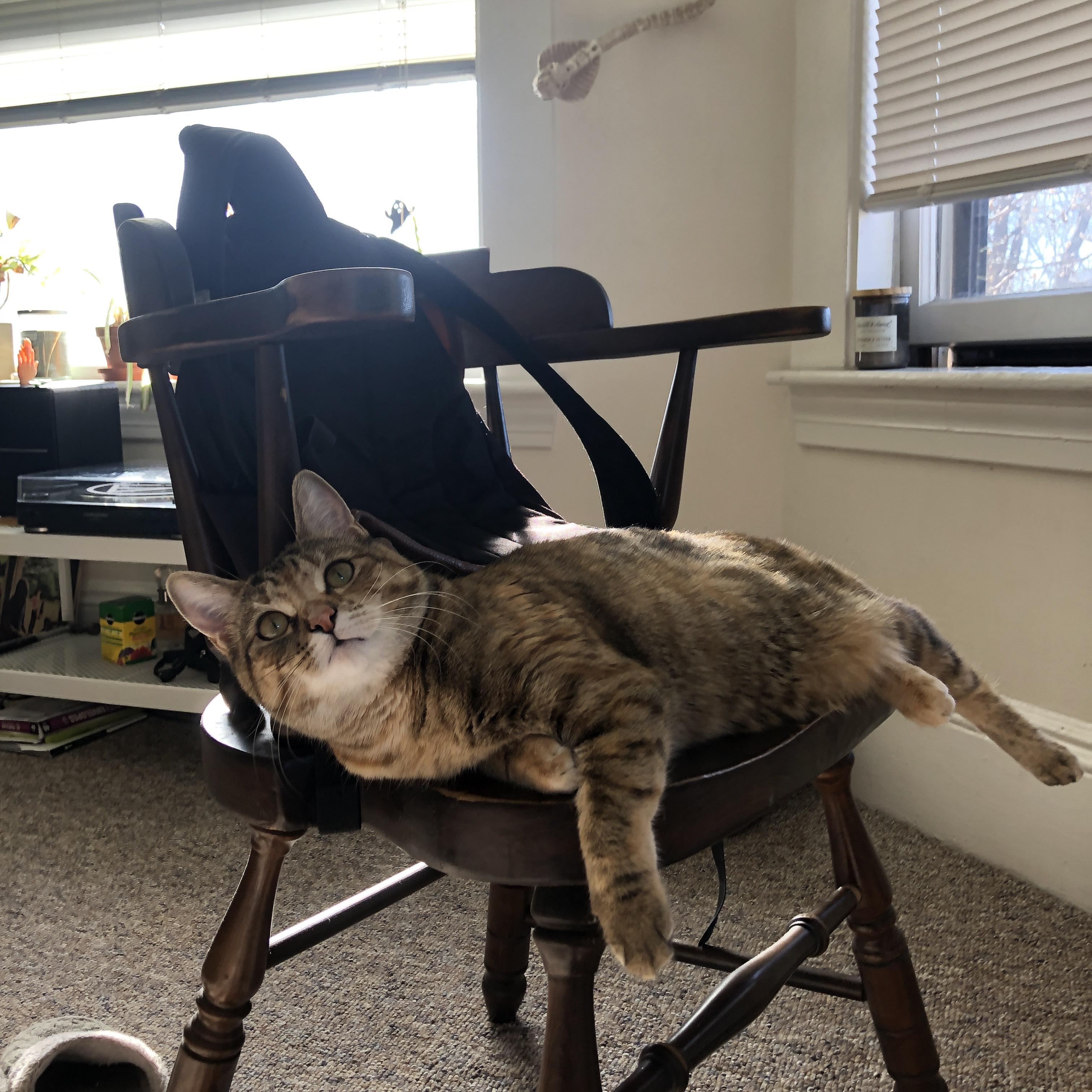 西甲魅力无限:精彩配合、华丽过人不断刷新纪录,西甲经典比赛