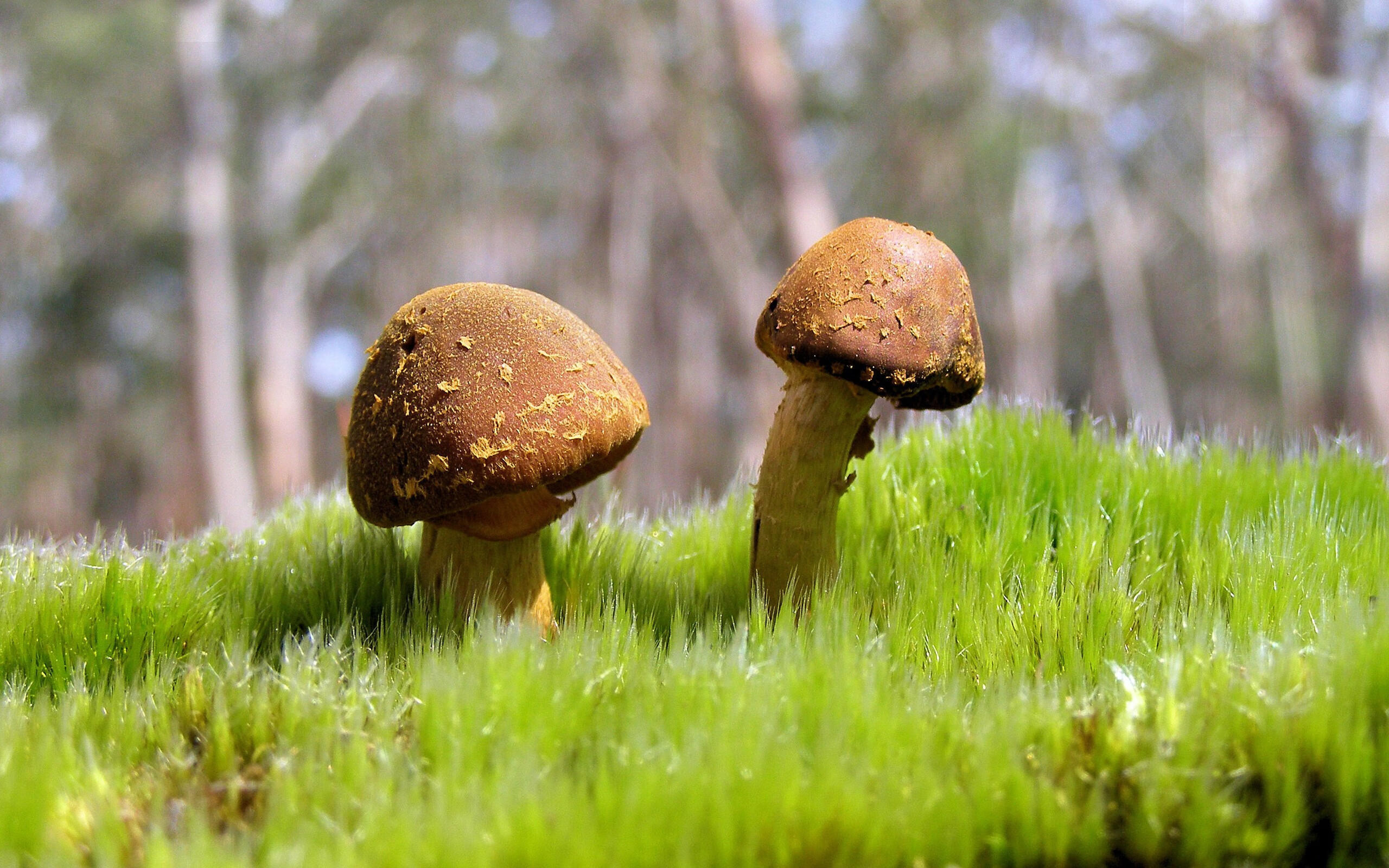 詹姆斯训练中不慎扭伤赛前状态存疑，詹姆斯扭伤图片